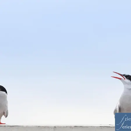 Apartman Friesenhain Sankt Peter-Ording