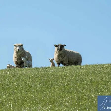 Friesenhain * Sankt Peter-Ording
