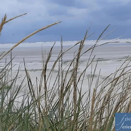 Friesenhain Apartman *